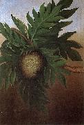 unknow artist Hawaiian Breadfruit, oil on canvas painting by Persis Goodale Thurston Taylor, c. 1890 Sweden oil painting artist